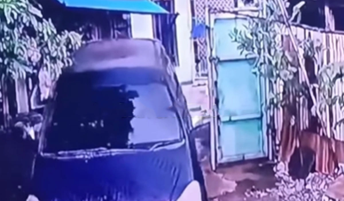 Tanggung Jawab Pengemudi