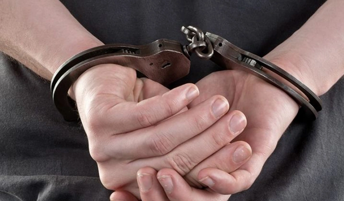 Total-Anggota-Jaringan-dan-Cara-Operasi