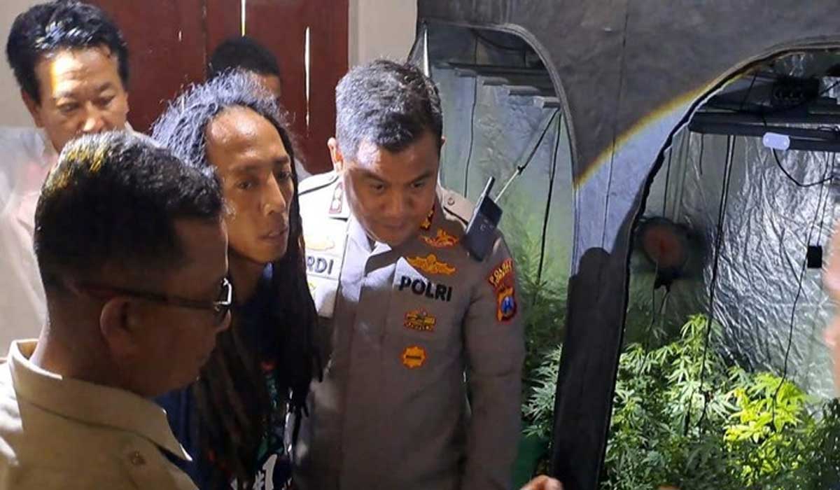 HEBOH! Rumah Kontrakan di Jombang Jadi Ladang Ganja Mewah, Begini Penampakannya!
