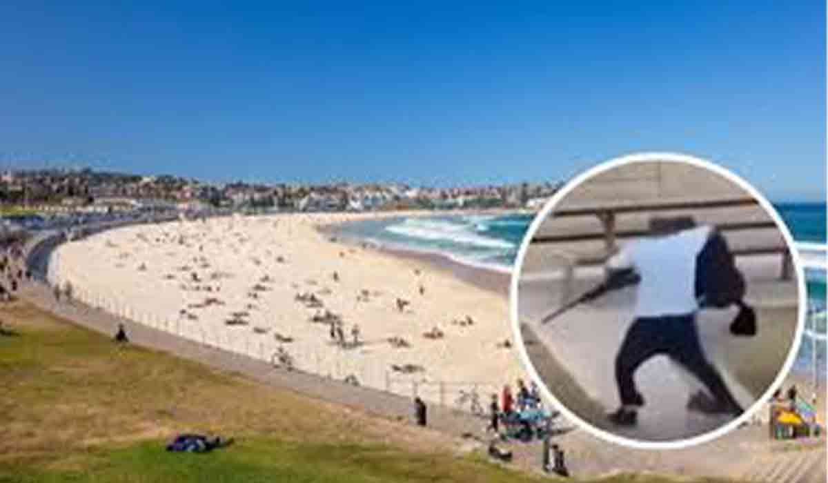 Bondi Beach Teror Serangan Saat Perayaan Hanukkah Tewaskan 16 Orang