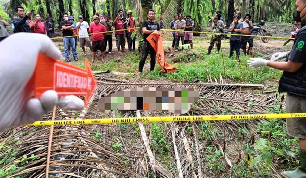 Kasus Pelajar SMK Hilang Berakhir Mengerikan di Perkebunan Sawit